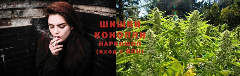 Шишки марихуана Ganja  Лабытнанги 